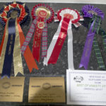 Rosettes and CCs