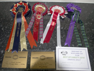 Rosettes and CCs